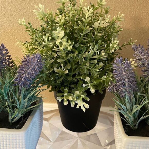 Faux Plants Lot of 5 Lavender in Ceramic Square Pots - Picture 6 of 11